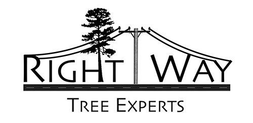 Right Way Tree Experts llc